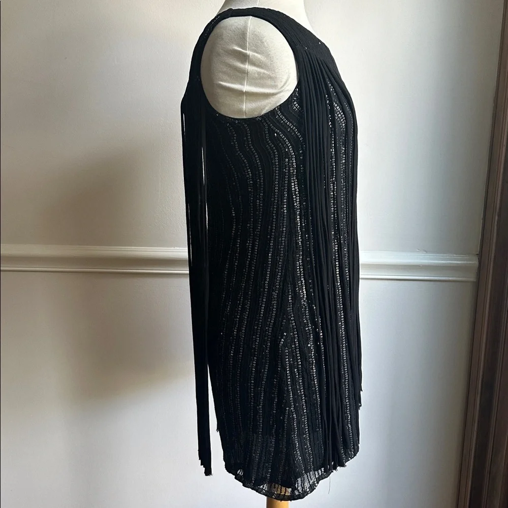 Parker Bryant dress fringe trim sequins silk size small black NWT - Picture 5 of 9